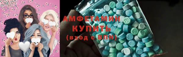 прущие грибы Богданович