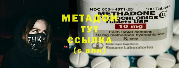 прущие грибы Богданович