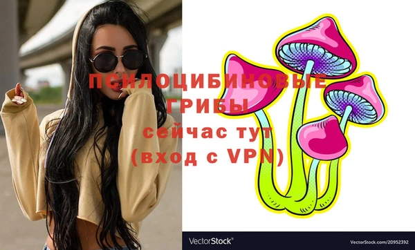 трава Снежинск