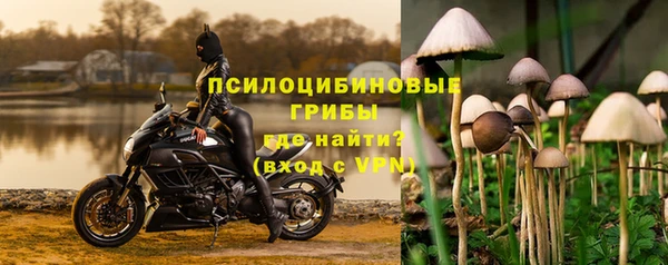 дурь Беломорск