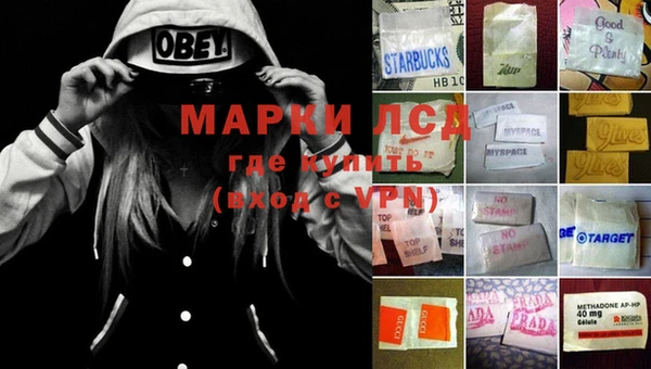 прущие грибы Богданович