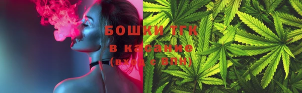 мдпв Богородицк