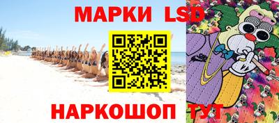 стафф Новодвинск