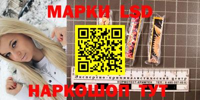 стаф Новокубанск