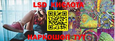 стаф Новокубанск