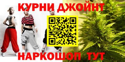 стаф Новокубанск