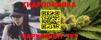 стаф Новокубанск