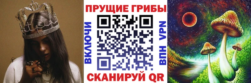 Галлюциногенные грибы Psilocybine cubensis мега рабочий сайт Маркс