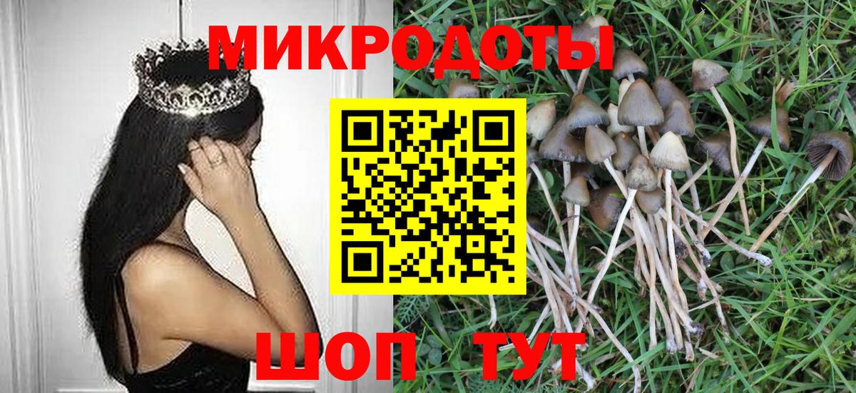 Псилоцибиновые грибы мицелий Маркс