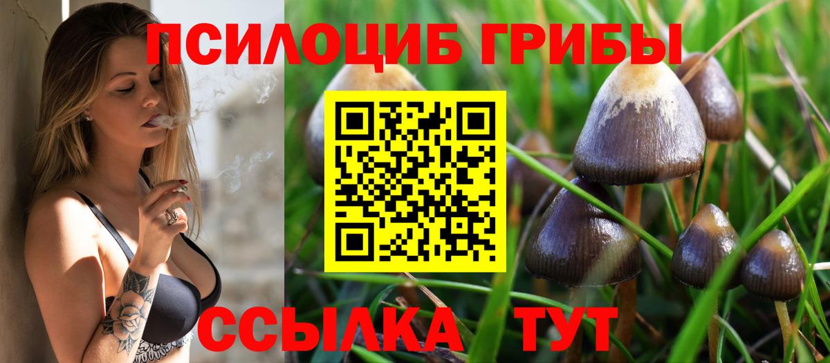 Маркс  Галлюциногенные грибы Magic Shrooms  Псилоцибиновые грибы мухоморы  Вход с VPN 